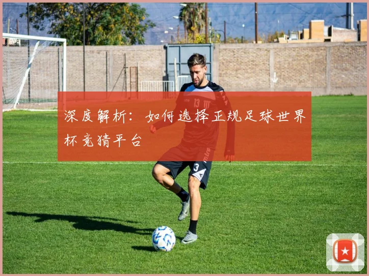 深度解析：如何选择正规足球世界杯竞猜平台