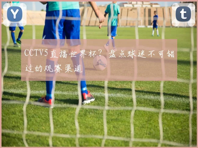 CCTV5直播世界杯?盘点球迷不可错过的观赛渠道
