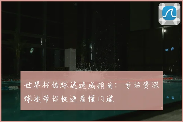 世界杯伪球迷速成指南：专访资深球迷带你快速看懂门道