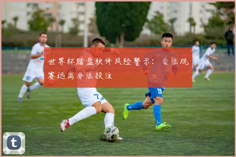 世界杯赌盘软件风险警示:合法观赛远离非法投注