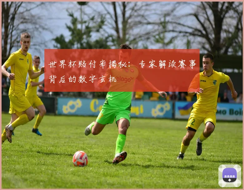 世界杯赔付率揭秘：专家解读赛事背后的数字玄机