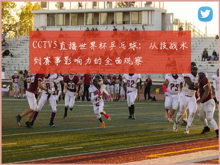 CCTV5直播世界杯乒乓球：从技战术到赛事影响力的全面观察