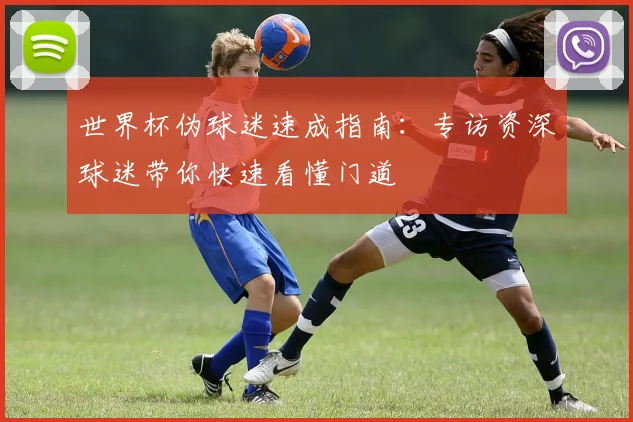 世界杯伪球迷速成指南：专访资深球迷带你快速看懂门道