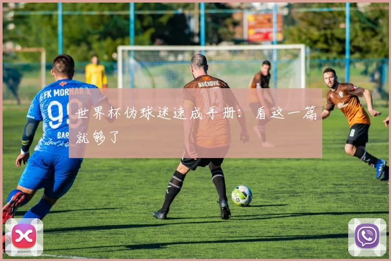 世界杯伪球迷速成手册:看这一篇就够了