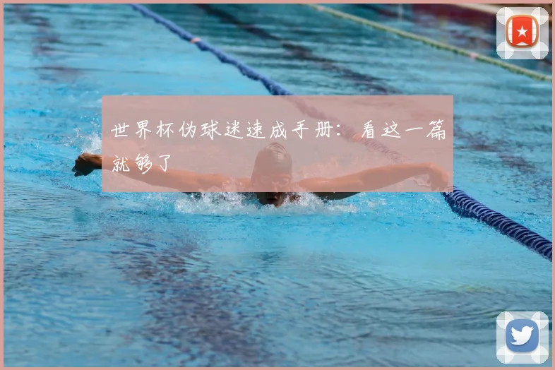 世界杯伪球迷速成手册:看这一篇就够了