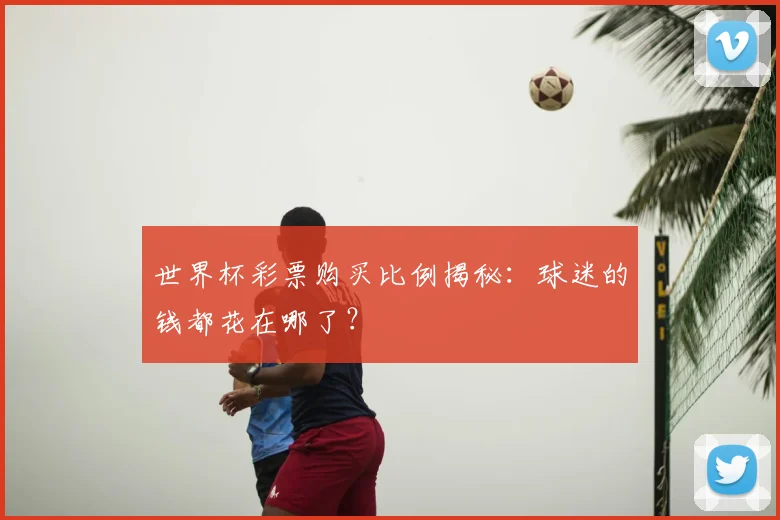 世界杯彩票购买比例揭秘：球迷的钱都花在哪了？