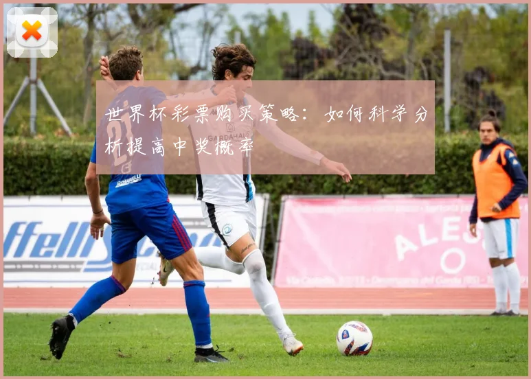 世界杯彩票购买策略：如何科学分析提高中奖概率
