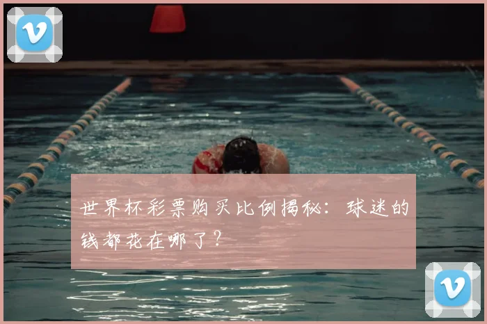 世界杯彩票购买比例揭秘:球迷的钱都花在哪了?