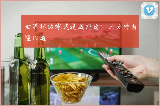 世界杯伪球迷速成指南:三分钟看懂门道