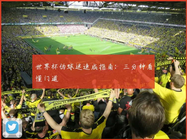 世界杯伪球迷速成指南:三分钟看懂门道